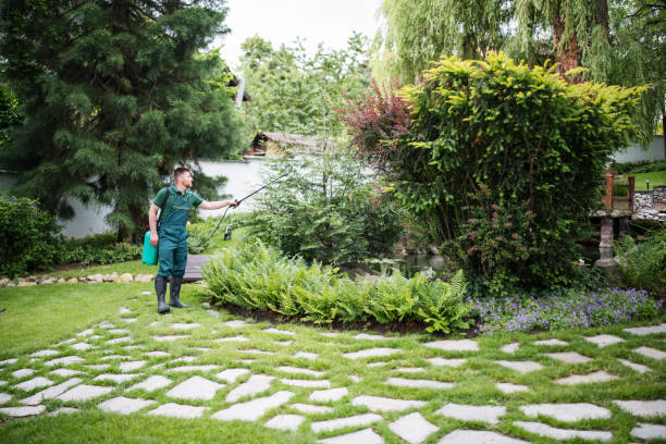 Trusted Western Springs, IL Pest Control Experts