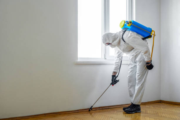 Best Flea Control Services  in Western Springs, IL