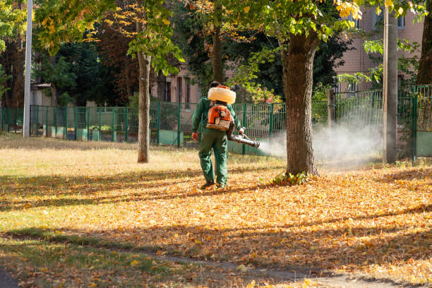 Best Wasp Removal Services  in Western Springs, IL