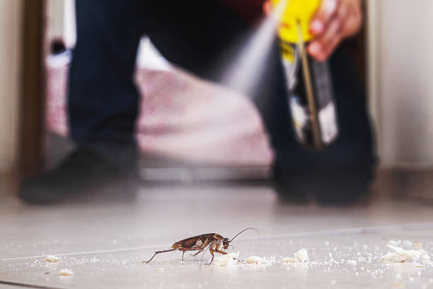 Best Residential Pest Control  in Western Springs, IL